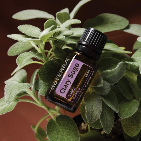 doTerra Essential Oil - Clary Sage - Picture 3 of 3